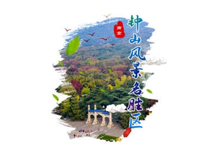 南京钟山风景区VR云游